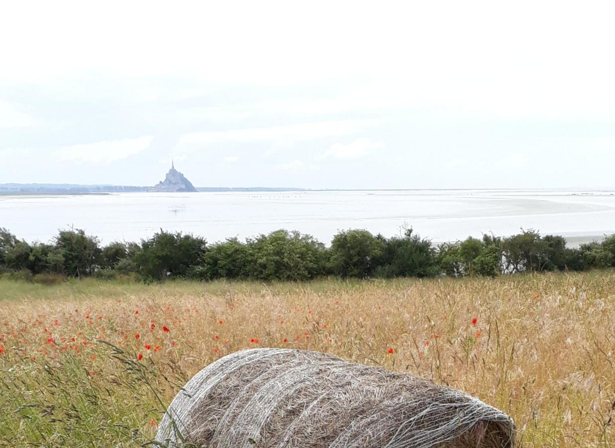 Gite La Bulle En Baie, Proche Mont Saint-Michel, Au Calme, Pour 4 Pers Crollon エクステリア 写真