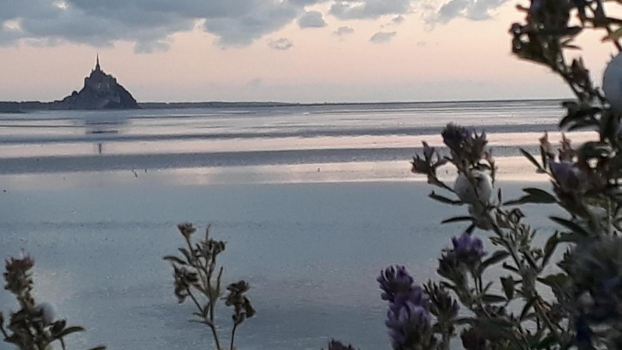 Gite La Bulle En Baie, Proche Mont Saint-Michel, Au Calme, Pour 4 Pers Crollon エクステリア 写真